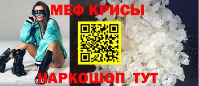 кокс Гатчина