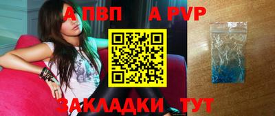 кокс Гатчина