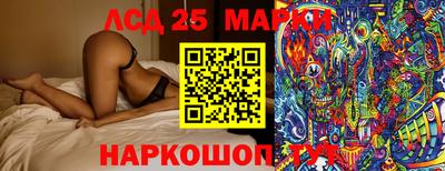 кокс Гатчина