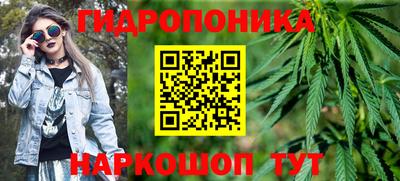 кокс Гатчина