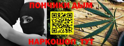 кокс Гатчина