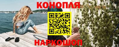 кокс Гатчина