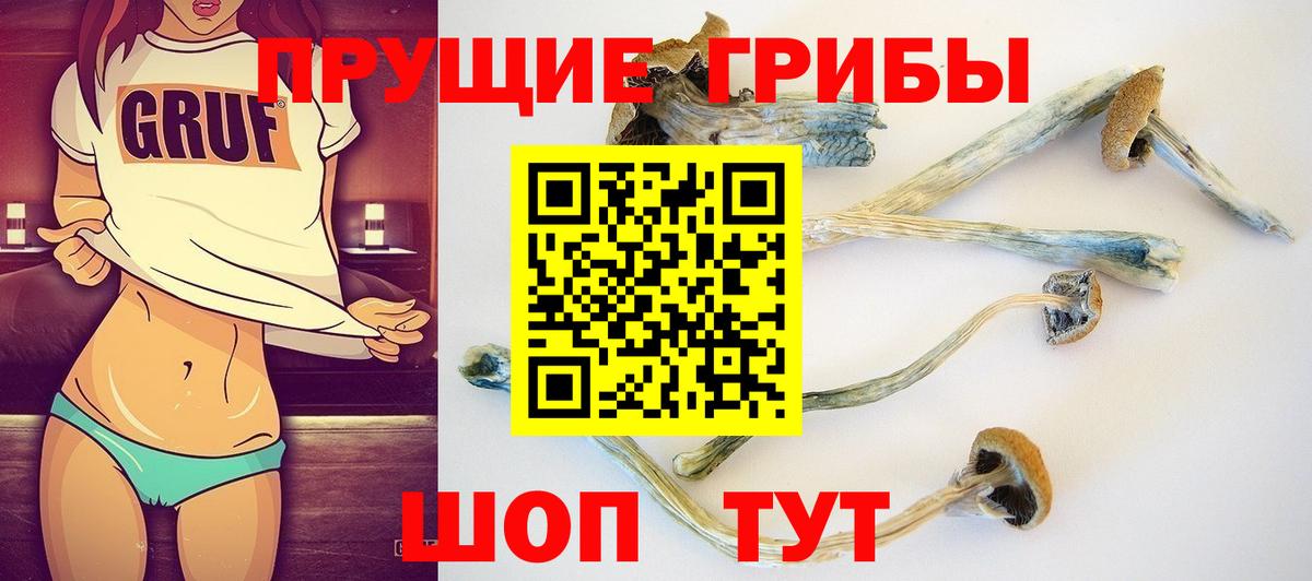Галлюциногенные грибы Cubensis Кореновск